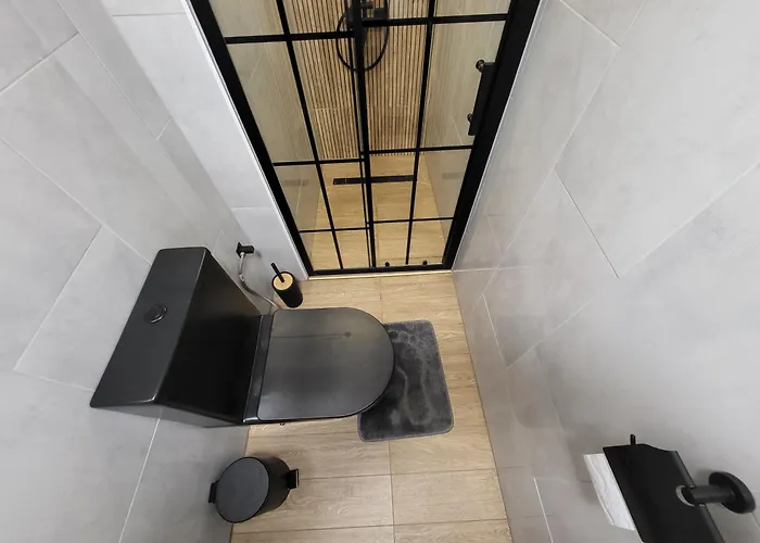 Seagull קולובז'ג